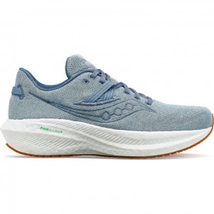 Blue Saucony Triumph RFG Men's Running Shoes | ISRAEL VSRONP