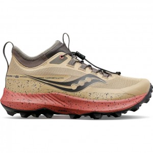 Brown Saucony Peregrine 13 ST Women's Trail Running Shoes | ISRAEL BVSRLG