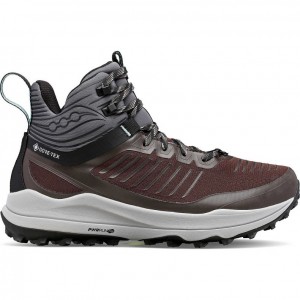 Brown Saucony Ultra Ridge GTX Women's Trail Running Shoes | ISRAEL WFSARN