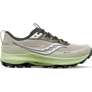 Grey / Mint Saucony Peregrine 13 GTX Men's Running Shoes | ISRAEL TXECOJ