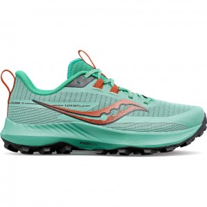 Turquoise Saucony Peregrine 13 Women's Trail Running Shoes | ISRAEL XTKGJC